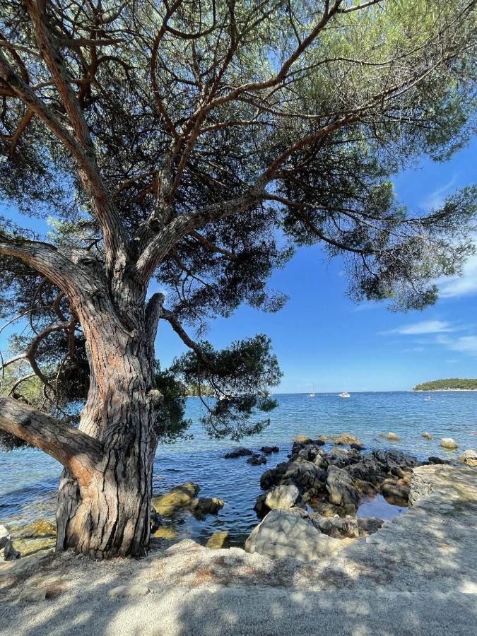 Apartamento Clorinda Sea view Rovinj Exterior foto